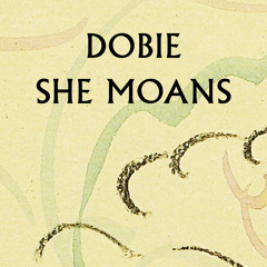 She Moans (FaltyDL Remix)