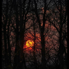 [FREE] SEMATARY RB3 X WITCHHOUSE TYPE BEAT PROD 2DORX