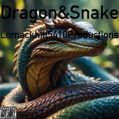 Dragon&Snake