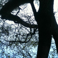 Todos os pecados do mundo de Cecília Barreira dito por Rafaela Maia