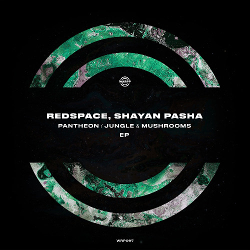 PREMIERE: Redspace & Shayan Pasha - Jungle & Mushrooms [WARPP]