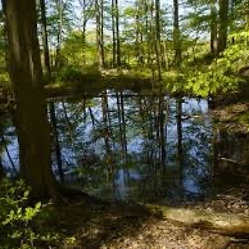 Spring Pools -- Robert Frost (in song)