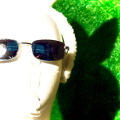 você seria um coelho