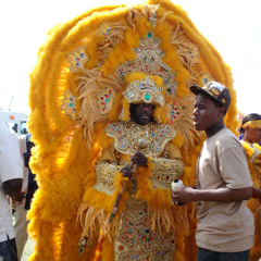Won't Bow Down - Mardi Gras 2006 after Katrina