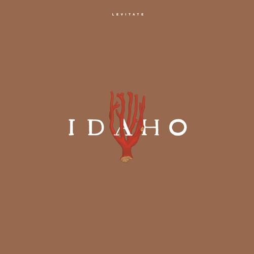 Idaho - For Granted