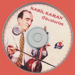 Habil Aliyev Dilberim کمانچه هابیل علی‌اف دیلبریم