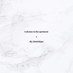 sky dominique  | welcome to the aprtment mix (r&b, house, soul)