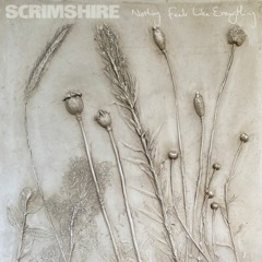 Scrimshire - Nothing Feels Like Everything