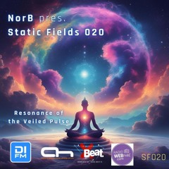 Static Fields 020 - Resonance of the Veiled Pulse