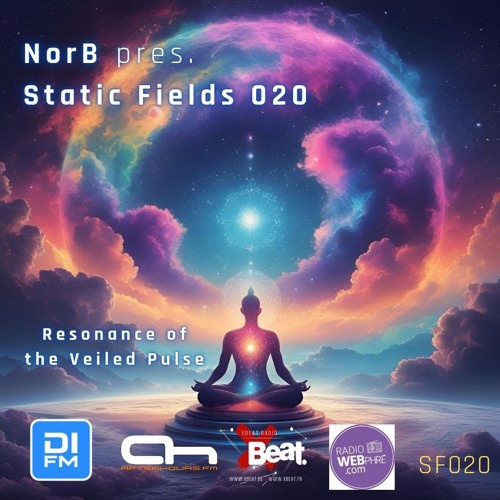 Static Fields 020 - Resonance of the Veiled Pulse