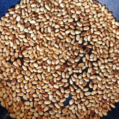 Zerotone Linger Longer