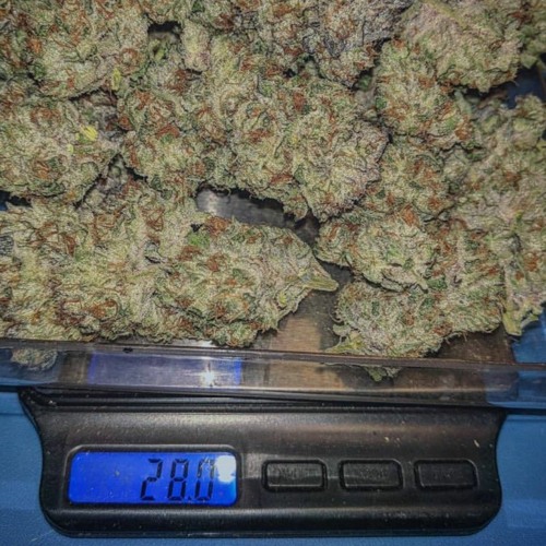 28 GRAMS IN EVERY OUNCE