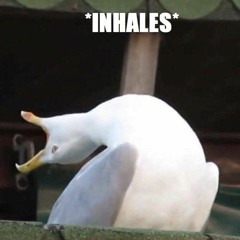 Logik - White Seagull