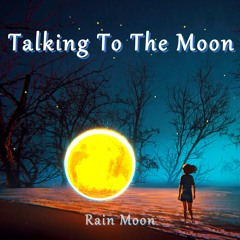 Talking To The Moon