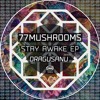 Descargar video: PREMIERE: 77Mushrooms - Stay Awake [TZH213]