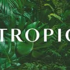 TropicHouse