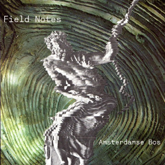 Field Notes | Amsterdamse Bos