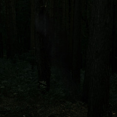 Stillness