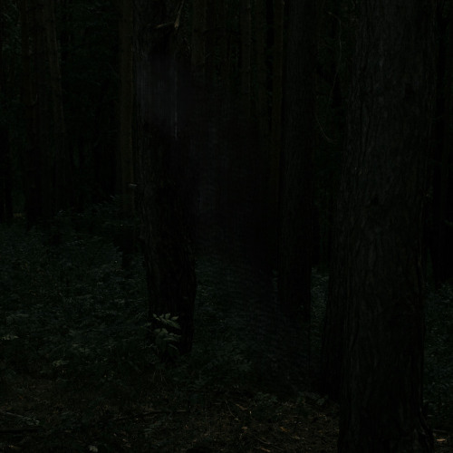 Stillness