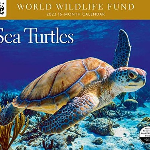 Stream ( 7PZ ) Sea Turtles WWF 2022 Wall Calendar by World Wildlife Fund (  FvA ) by Grietje Harley Testa | Listen online for free on SoundCloud