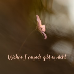 Wahre Freunde gibt es nicht