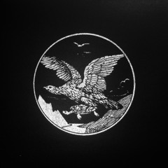 Sunfall (Insolate Remix)