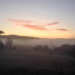 ALL THE WORLD IS GREEN Tom Waits Cover