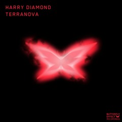 Premiere: Harry Diamond - Terranova