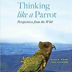 [PDF]✔️Ebook❤️ Thinking like a Parrot Perspectives from the Wild