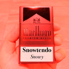Snowtendo
