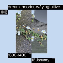 Noods Radio - Dream Theories w/ yingtuitive 16.1.24