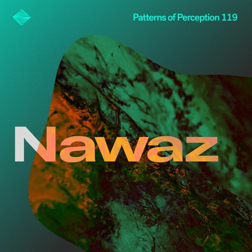 Patterns of Perception 119 - Nawaz