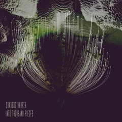 Shabboo Harper - Into Thousand Pieces (Original Mix)