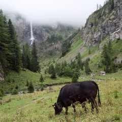 Geltenschusse Hütte, Bernese Oberland, Switzerland, August 2024