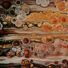 Polyend Tracker Sampled Electric Guitar