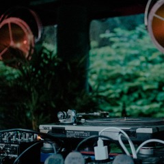 Jensen live at Klub Dramatik Antwerpen 150619