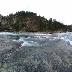 Organic House. Flotaing Set