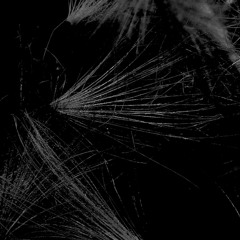 Music for Art Contemporary dance, theatre and exhibitions