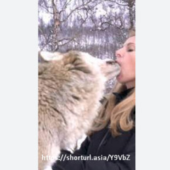 (Video original 18+) One girl one wolf !! one girl one frog video trending
