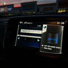 Billie Eilish - Birds Of A Feather (Remix - Sped UP)