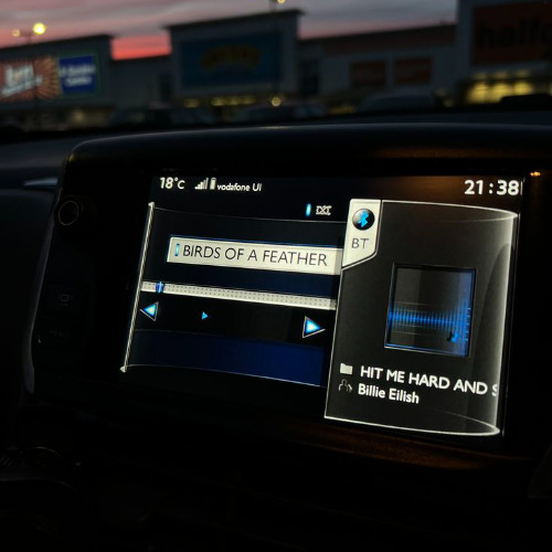 Billie Eilish - Birds Of A Feather (Remix - Sped UP)