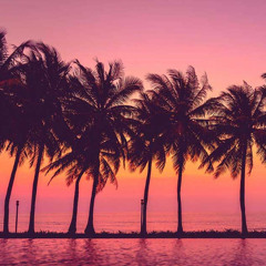 Pamplem'House - palm tree