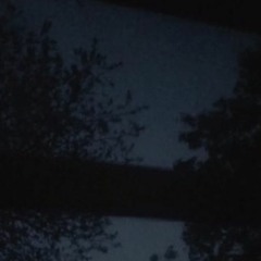 wraith- i tried to conceal my emotions but the whiskey bottle overflowed.