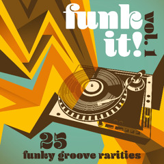 Funk it! Vol. 1: Funky House Gems