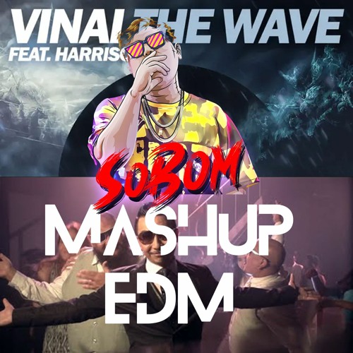 MASHUP เมียไม่มี X THE WAVE [DJSOBOM]