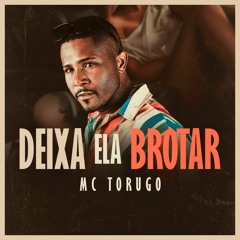 MC TORUGO - DEIXA ELA BROTAR.wav