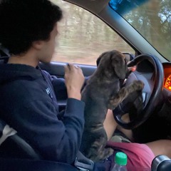 "Ends" (Feat. And prod. By Whallex)