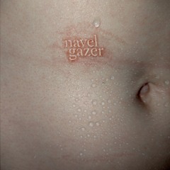navel gazer