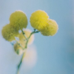 Haŵs w/ Rhodri Price & Flo Massé  - January 2022