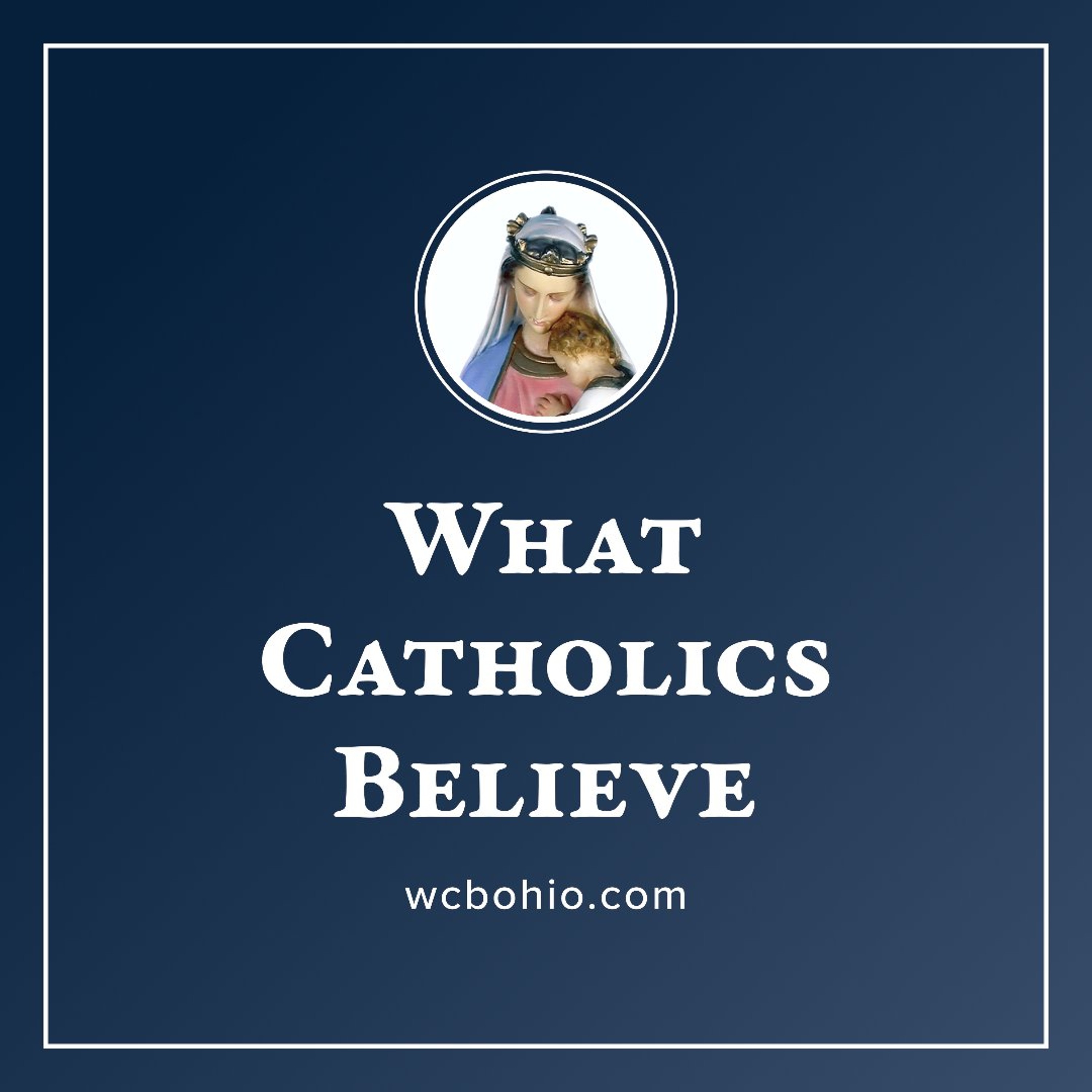SSPX Appeals! Dubious Pope? Lawsuits? Mourning? Prayer? True vs Fake Faith? St. Bonaventure! episode artwork